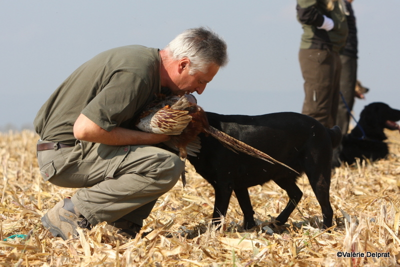 Field Erstein 09 (154).JPG